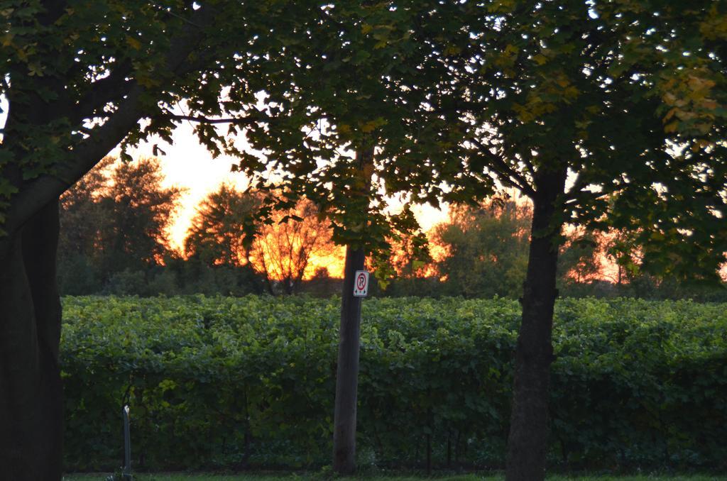 Old Town Country Landing Bed & Breakfast Niagara-on-the-Lake ภายนอก รูปภาพ